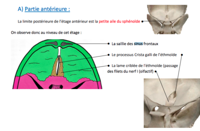 Capture d’écran 2022-03-31 à 15.53.22.png