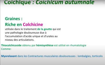 Capture d’écran 2022-04-01 à 22.16.18.png