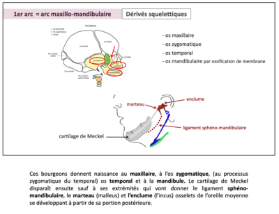 Capture d’écran 2022-04-02 à 09.38.35.png