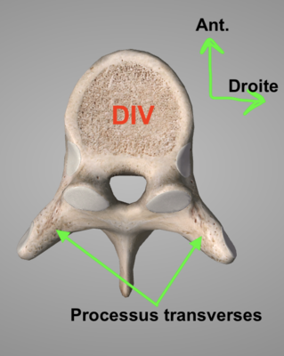 Capture d’écran 2022-04-02 à 12.15.12.png