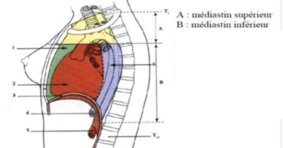 Capture d’écran 2022-04-03 à 16.19.56.png