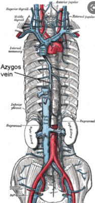 Capture d’écran 2022-04-03 à 16.20.51.png