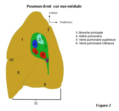 Capture d’écran 2022-04-05 à 14.03.16.png