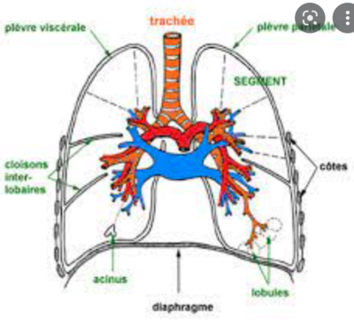 Capture d’écran 2022-04-05 à 14.08.45.png