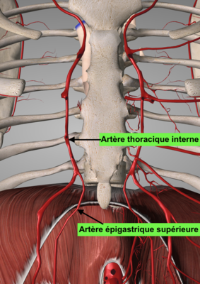 Capture d’écran 2022-04-05 à 17.54.46.png