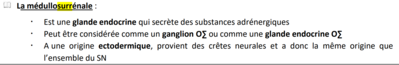 Médullosurrénale.png