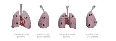 Capture d’écran 2022-04-07 à 19.27.28.png