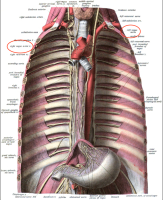 Capture d’écran 2022-04-07 à 19.49.17.png