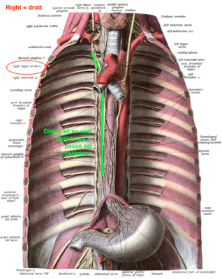 Capture d’écran 2022-04-07 à 19.51.45.png