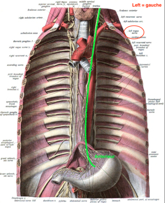 Capture d’écran 2022-04-07 à 19.49.37.png