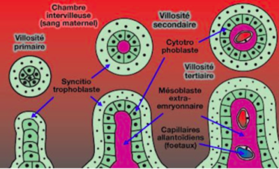 Capture d’écran 2022-04-10 à 14.39.48.png