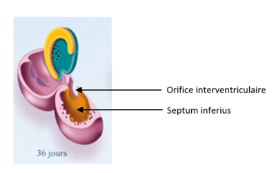 Capture d’écran 2022-04-11 112339.png