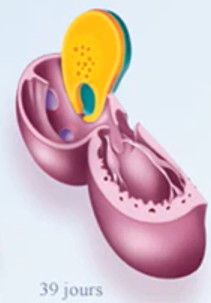 Capture d’écran 2022-04-11 112913.png