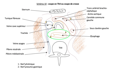 Capture d’écran 2022-04-11 à 21.49.45.png