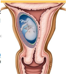 Capture d’écran 2022-04-11 à 22.43.59.png