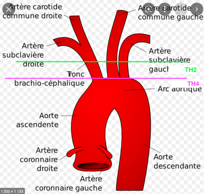 Capture d’écran 2022-04-12 à 21.07.29.png
