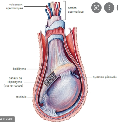 Capture d’écran 2022-04-12 à 22.06.26.png