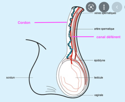 Capture d’écran 2022-04-12 à 22.06.45.png