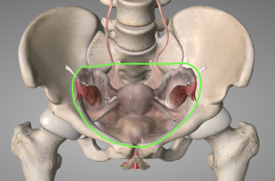 Capture d’écran 2022-04-12 à 23.35.51.png