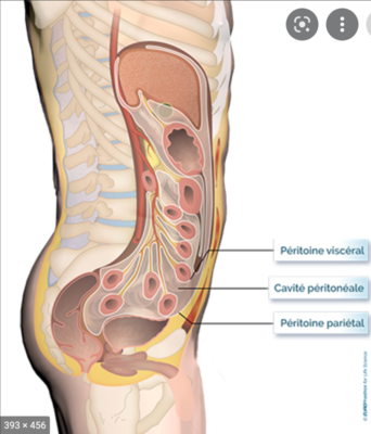 Capture d’écran 2022-04-13 à 09.27.03.png