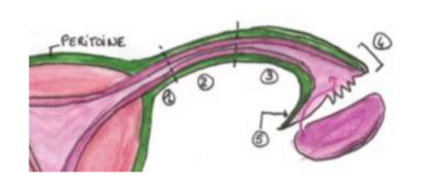 Capture d’écran 2022-04-13 à 09.31.18.png