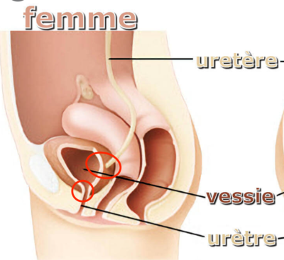 Capture d’écran 2022-04-13 à 09.38.20.png
