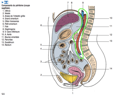 Capture d’écran 2022-04-13 à 14.06.30.png