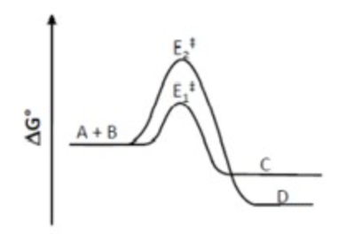Capture d’écran 2022-04-17 à 16.25.30.png