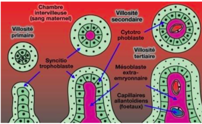 Capture d’écran 2022-04-20 à 18.21.19.png