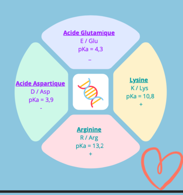 Capture d’écran 2022-04-21 à 15.34.54.png