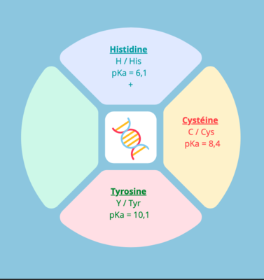 Capture d’écran 2022-04-21 à 15.35.01.png
