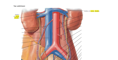 Capture d’écran 2022-04-21 à 15.48.02.png