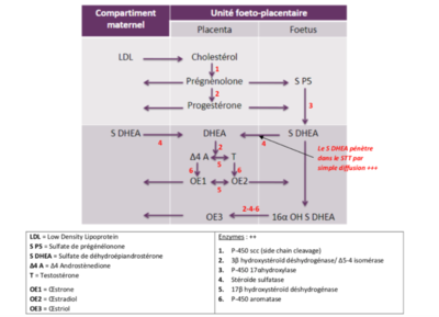 Capture d’écran 2022-04-23 à 22.19.53.png