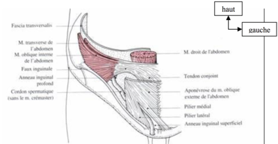 Capture d’écran 2022-04-24 à 22.45.08.png