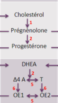 Capture d’écran 2022-04-25 à 15.49.03.png