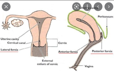 Capture d’écran 2022-04-25 à 17.10.31.png