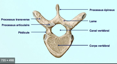 Capture d’écran 2022-04-25 à 19.24.40.png