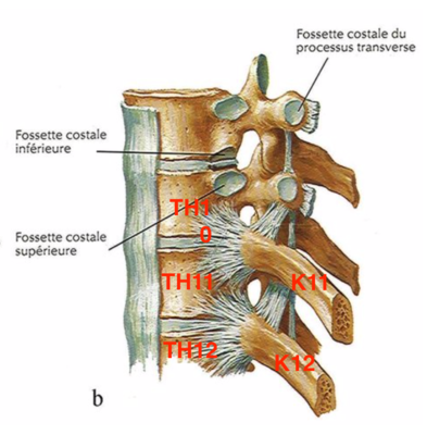 Capture d’écran 2022-04-25 à 21.33.03.png