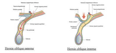 Capture d’écran 2022-04-25 à 22.02.14.png
