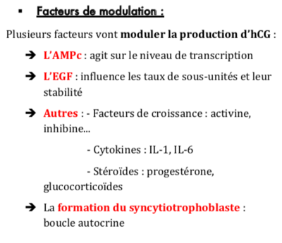Capture d’écran 2022-04-26 à 15.54.18.png