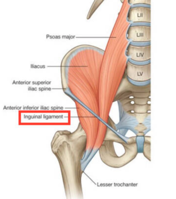 Capture d’écran 2022-04-27 à 21.25.00.png