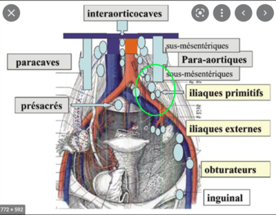 Capture d’écran 2022-04-27 à 21.24.17.png