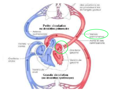 Capture d’écran 2022-04-27 à 21.41.39.png