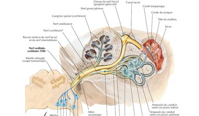 Capture d’écran 2022-04-29 224932.jpg