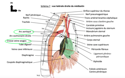 Capture d’écran 2022-05-04 à 08.44.58.png
