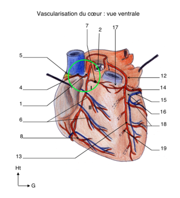 Capture d’écran 2022-05-04 à 09.01.44.png