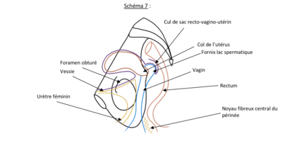 Capture d’écran 2022-05-04 à 10.29.53.png