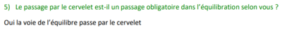 équilibre.png