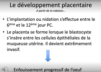 Capture d’écran 2022-05-14 à 19.17.04.png