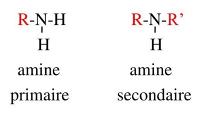 Capture web_19-8-2022_2257_www.bing.com.jpeg (17.68 Kio) Vu 290 fois Capture web_19-8-2022_2257_www.bing.com.jpeg